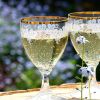 お酒に酔うと…動物も本性が現れる？！おもしろカワイイ動画